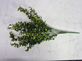 Arbustito de hojas verdes 20291